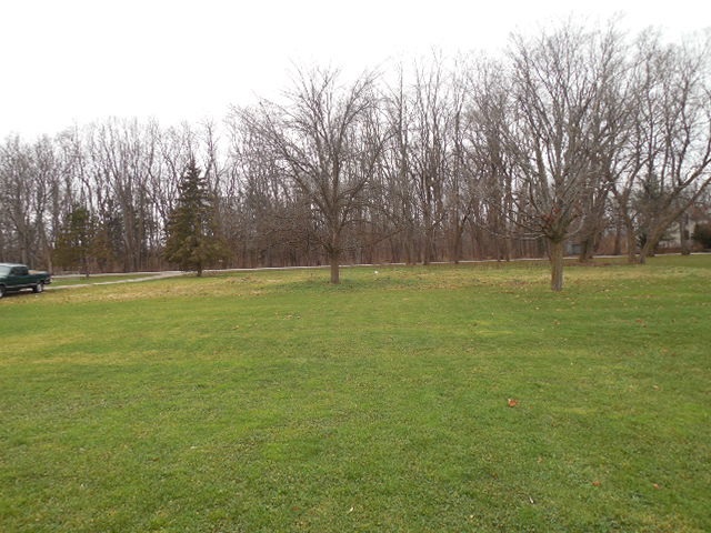 5925 Island Road Harvard, IL 60033 - Photo 3 of 22 a view of a field with trees in the background