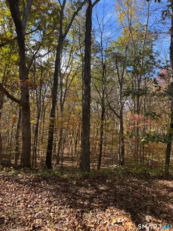 a backyard of a house with lots of trees