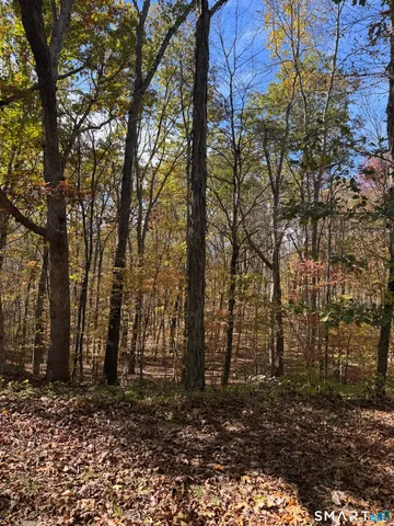 a backyard of a house with lots of trees