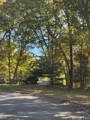a view of a yard with a trees