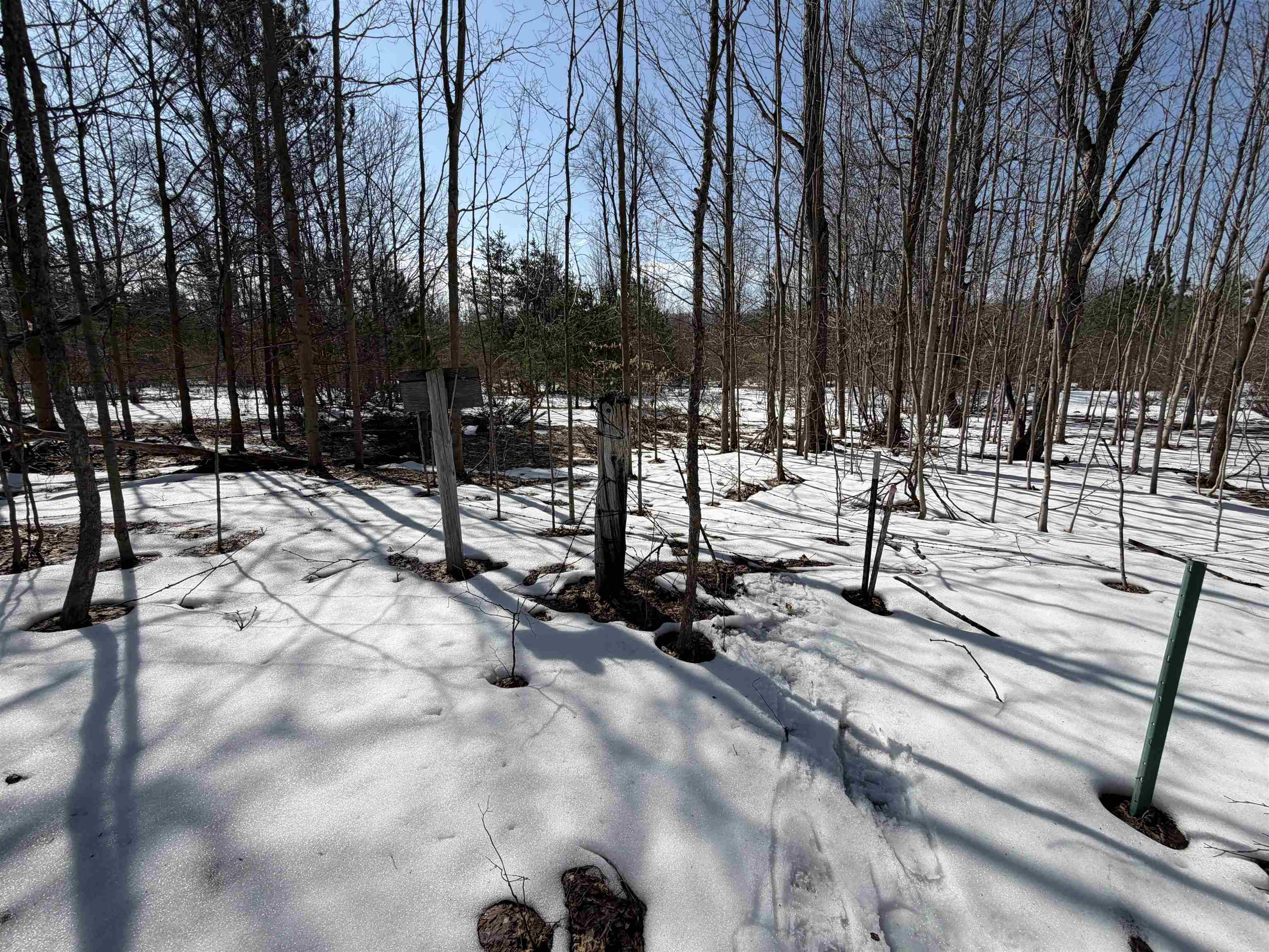 South Drew Road Empire, MI 49630 - Photo 12 of 28 Gallery Image 12