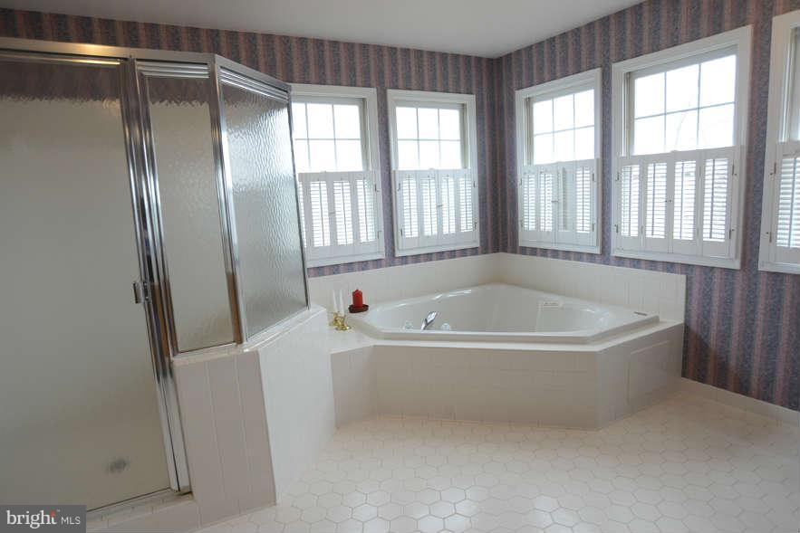 20009 Hickman Way Poolesville, MD 20837 - Photo 15 of 30 Bath (Master)