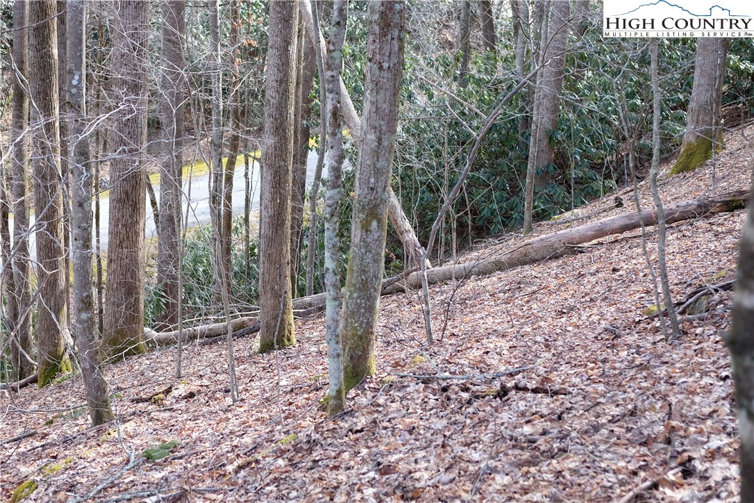 Lot 7 Twin Rivers Drive Boone, NC 28607 - Photo 11 of 25 Gallery Image 11