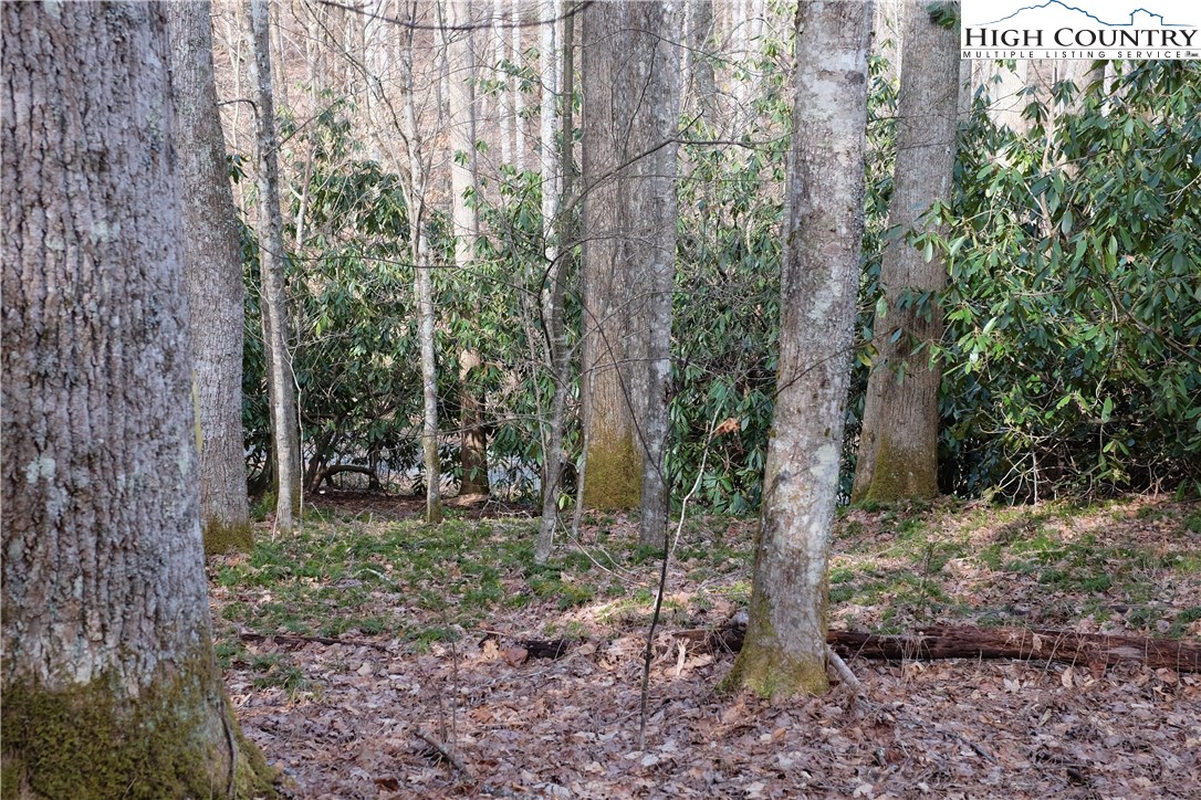 Lot 7 Twin Rivers Drive Boone, NC 28607 - Photo 13 of 25 Gallery Image 13