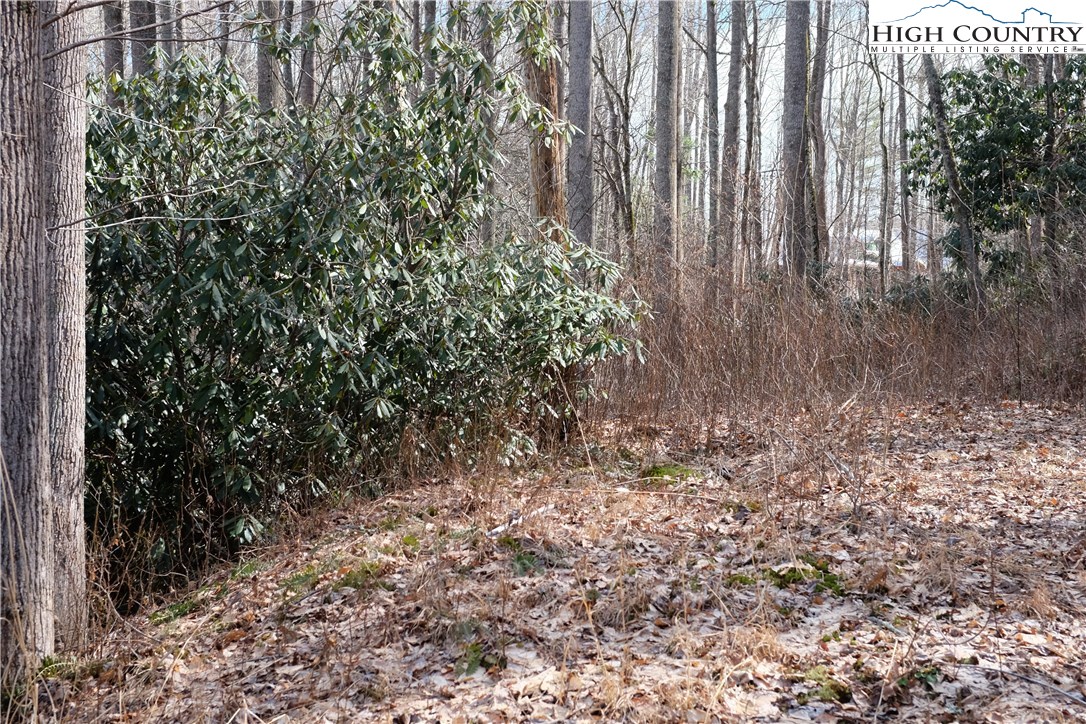 Lot 7 Twin Rivers Drive Boone, NC 28607 - Photo 15 of 25 Gallery Image 15