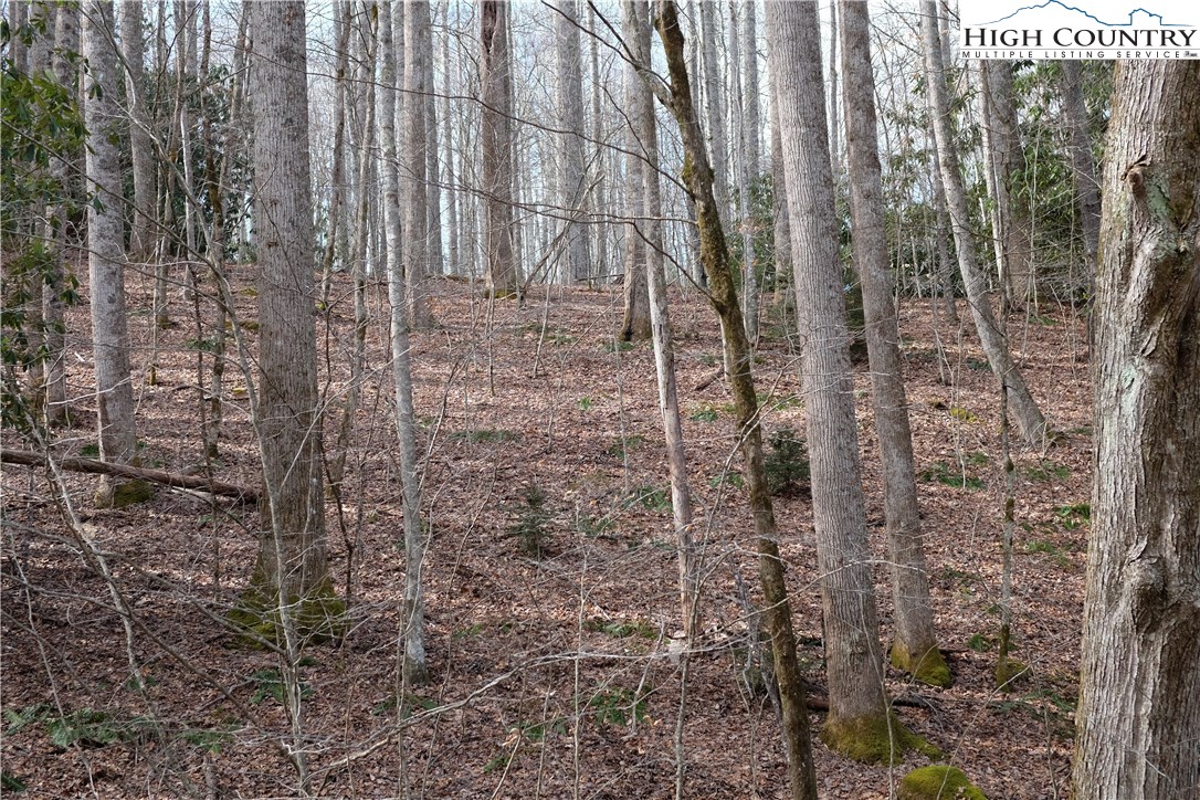 Lot 7 Twin Rivers Drive Boone, NC 28607 - Photo 16 of 25 Gallery Image 16
