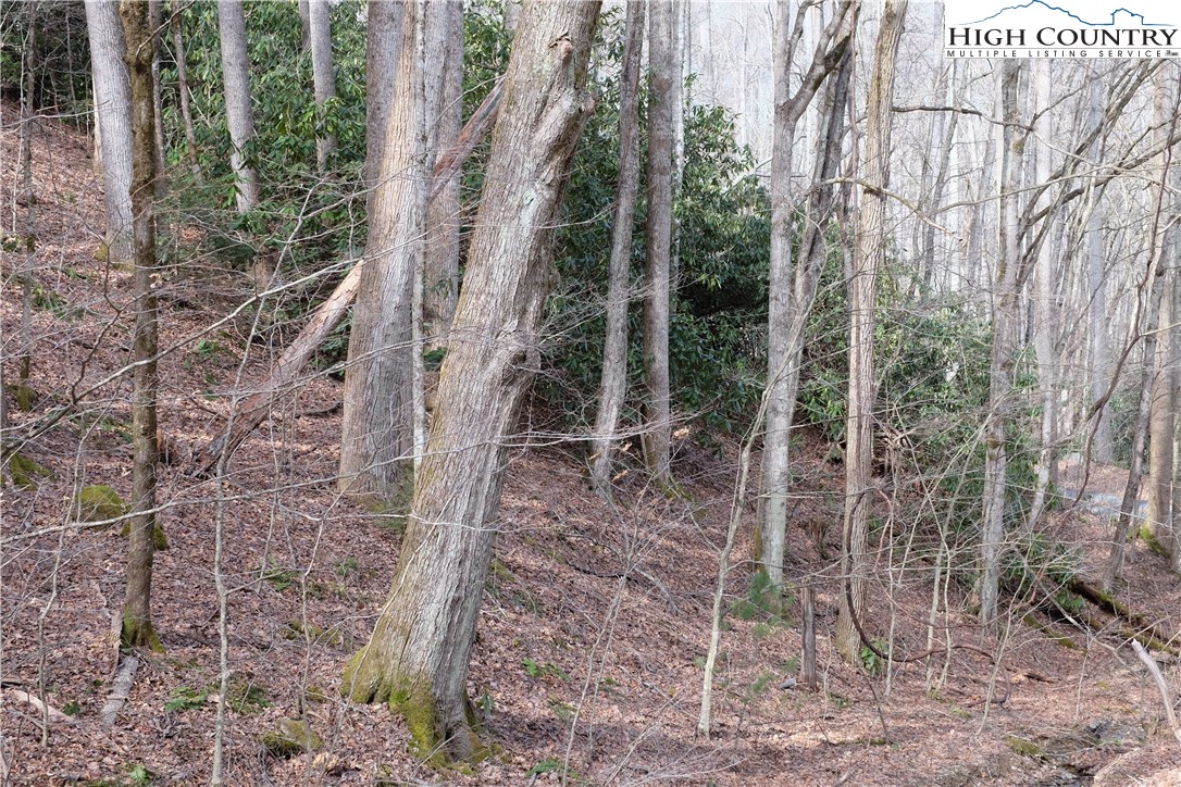 Lot 7 Twin Rivers Drive Boone, NC 28607 - Photo 17 of 25 Gallery Image 17