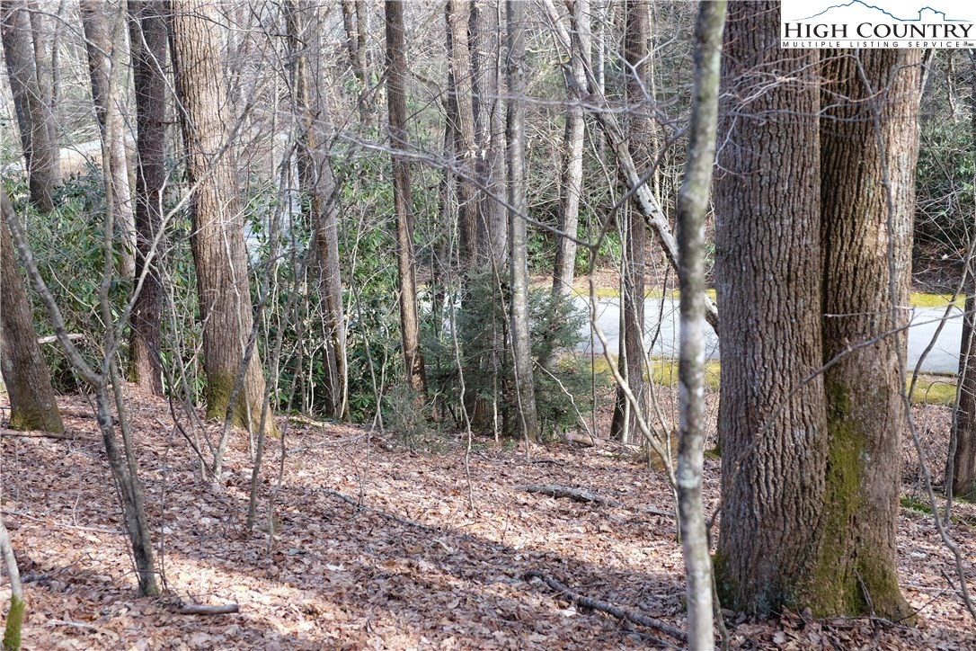 Lot 7 Twin Rivers Drive Boone, NC 28607 - Photo 19 of 25 Gallery Image 19