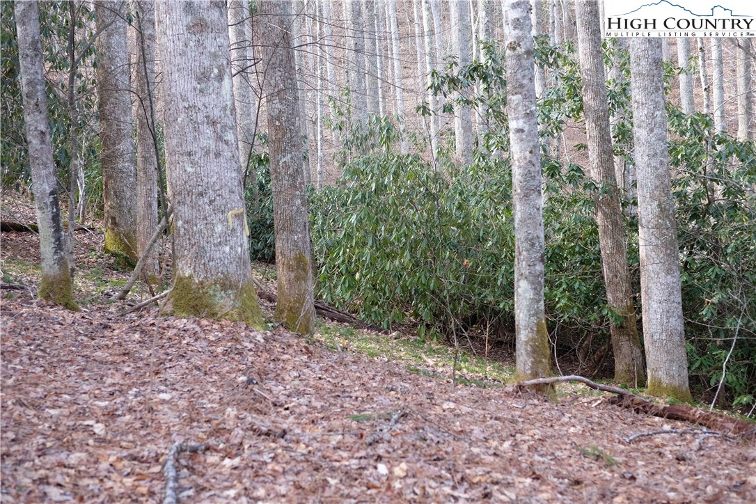 Lot 7 Twin Rivers Drive Boone, NC 28607 - Photo 20 of 25 Gallery Image 20