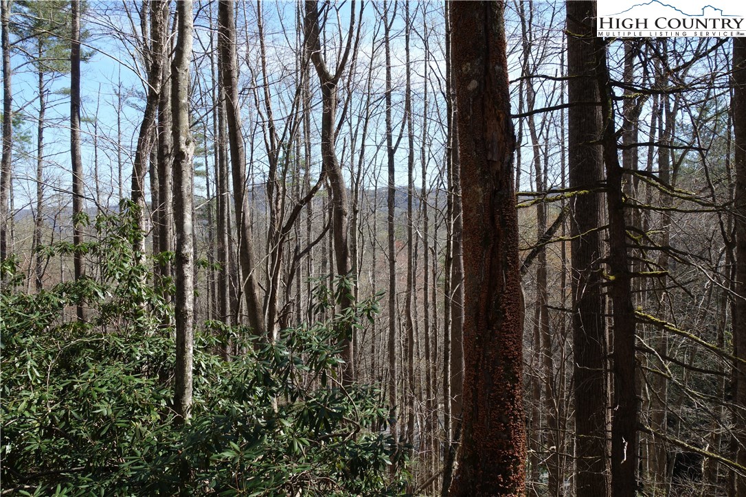 Lot 7 Twin Rivers Drive Boone, NC 28607 - Photo 21 of 25 Gallery Image 21