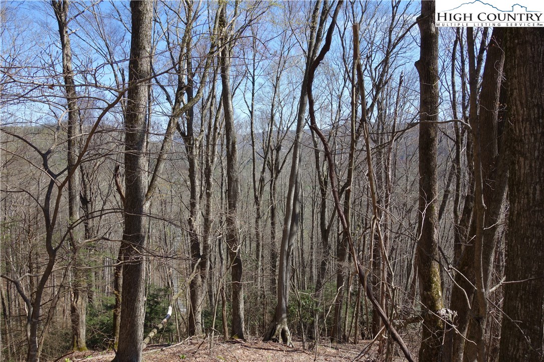 Lot 7 Twin Rivers Drive Boone, NC 28607 - Photo 22 of 25 Gallery Image 22