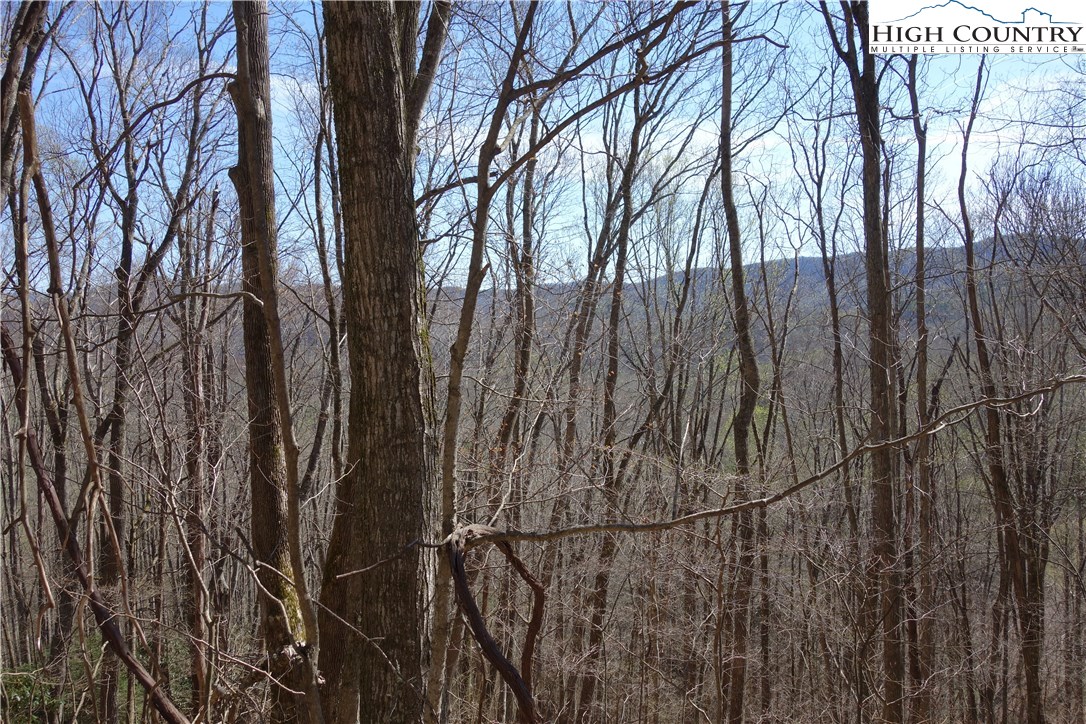 Lot 7 Twin Rivers Drive Boone, NC 28607 - Photo 3 of 25 Gallery Image 3