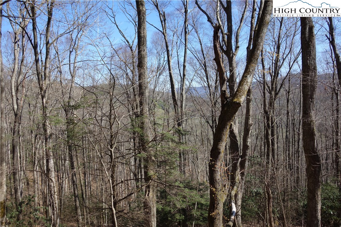 Lot 7 Twin Rivers Drive Boone, NC 28607 - Photo 4 of 25 Gallery Image 4
