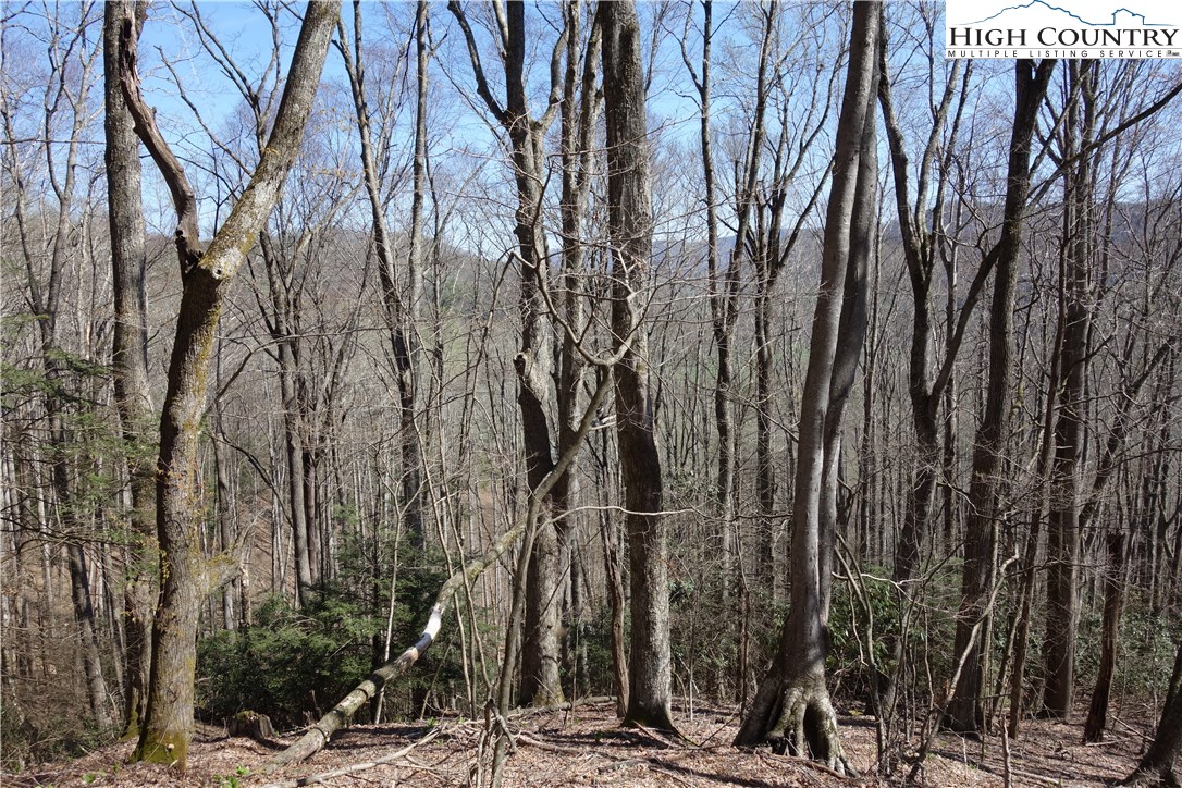 Lot 7 Twin Rivers Drive Boone, NC 28607 - Photo 5 of 25 Gallery Image 5