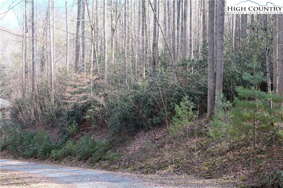 Lot 7 Twin Rivers Drive Boone, NC 28607 - Photo 6 of 25 Gallery Image 6