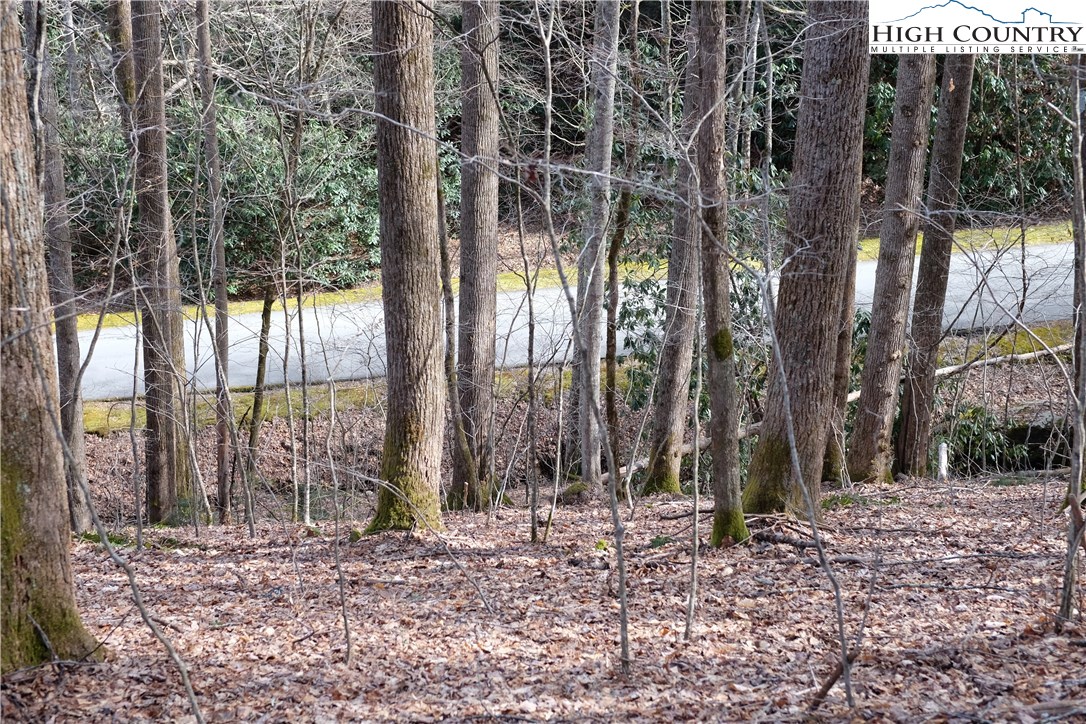 Lot 7 Twin Rivers Drive Boone, NC 28607 - Photo 7 of 25 Gallery Image 7