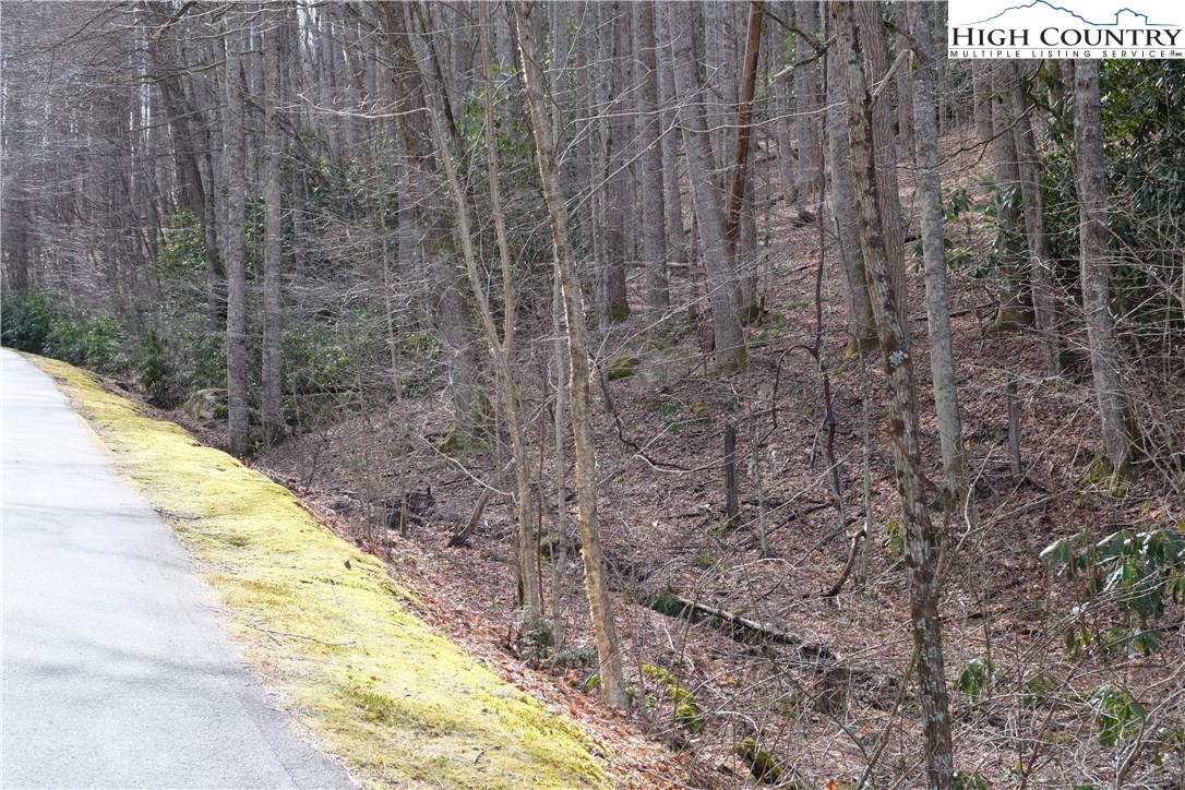 Lot 7 Twin Rivers Drive Boone, NC 28607 - Photo 8 of 25 Gallery Image 8