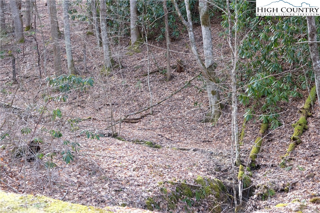 Lot 7 Twin Rivers Drive Boone, NC 28607 - Photo 9 of 25 Gallery Image 9