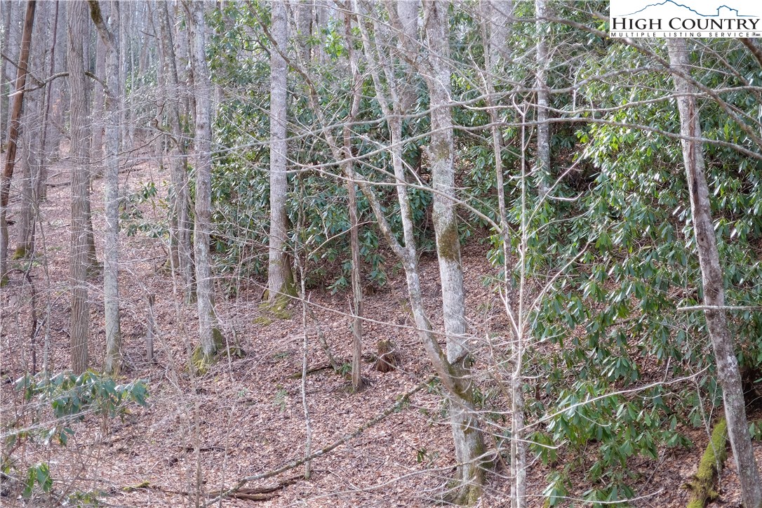 Lot 7 Twin Rivers Drive Boone, NC 28607 - Photo 10 of 25 Gallery Image 10
