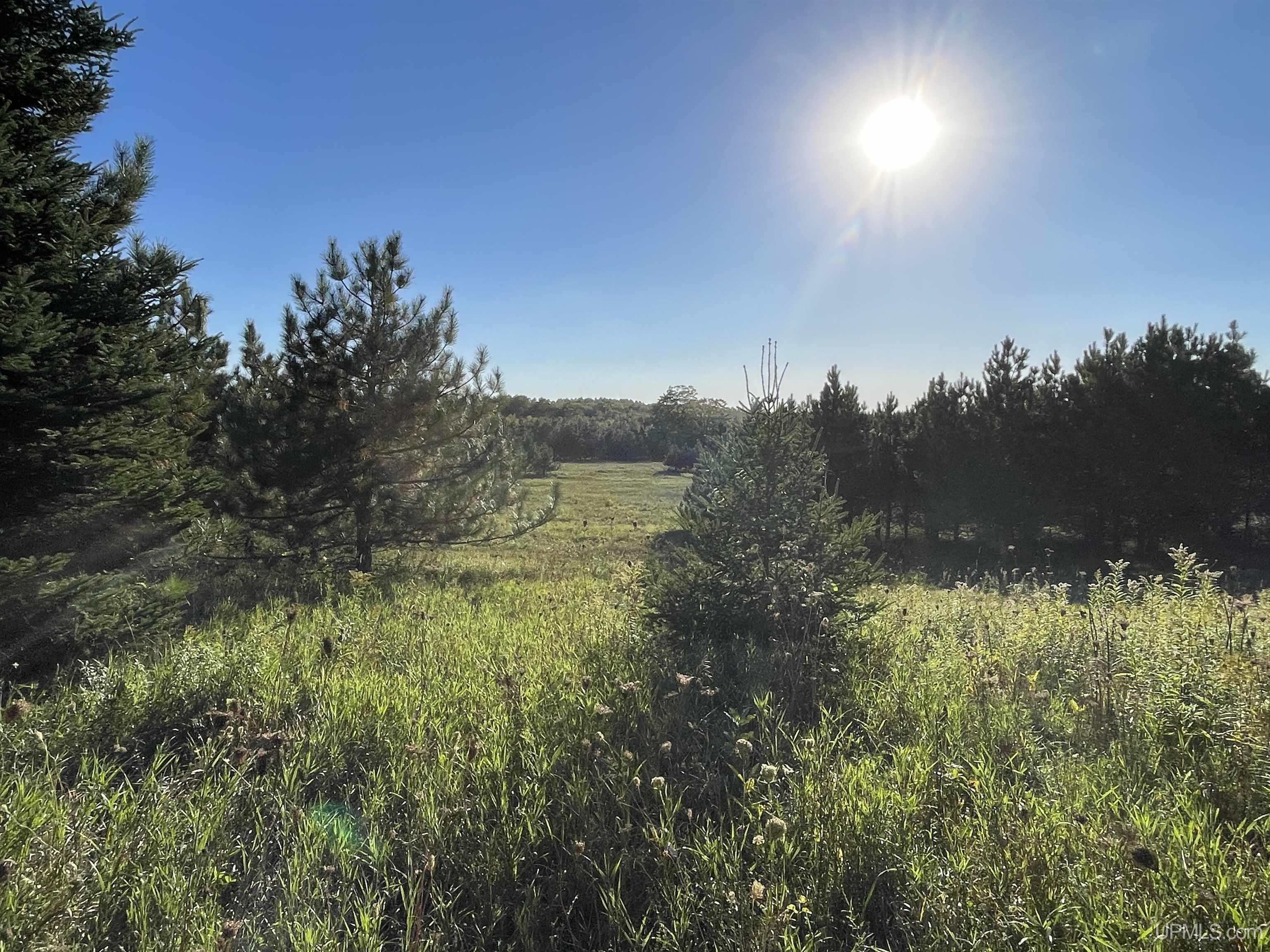 40-acres County Pit Road, Unit PARCEL #2 Manistique, MI 49854 - Photo 9 of 51 Gallery Image 9