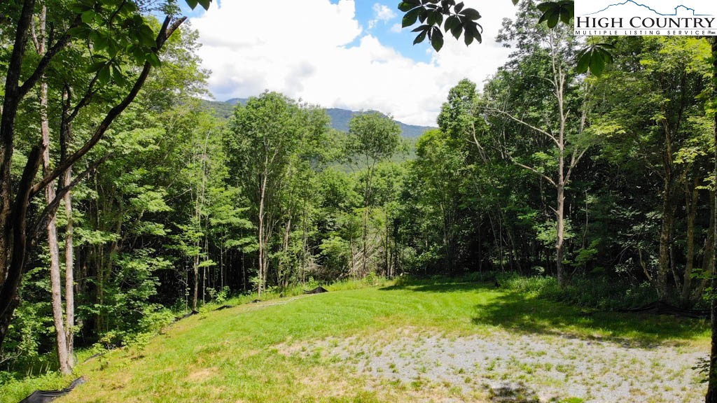 1729 Forest Ridge Drive, Unit 17 Newland, NC 28657 - Photo 2 of 8