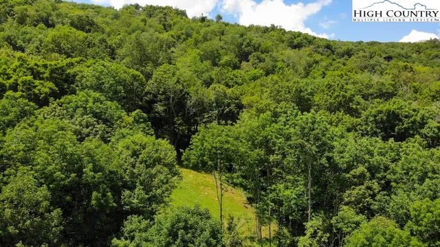 $1,350,000 | 1729 Forest Ridge Drive, Unit 17, Newland, NC 28657