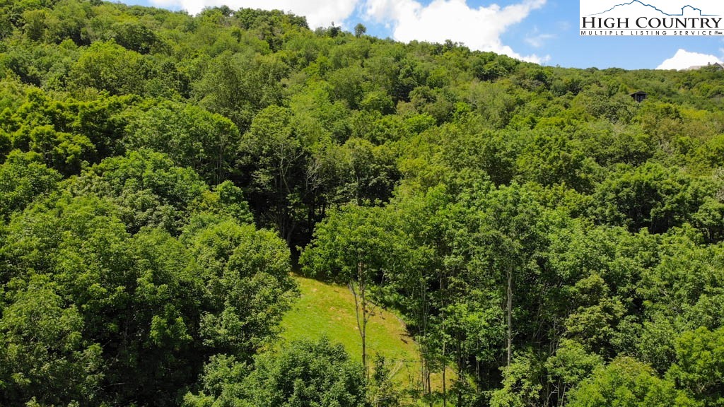 1729 Forest Ridge Drive, Unit 17 Newland, NC 28657 - Photo 4 of 8