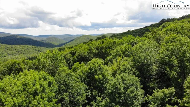 $1,350,000 | 1729 Forest Ridge Drive, Unit 17, Newland, NC 28657