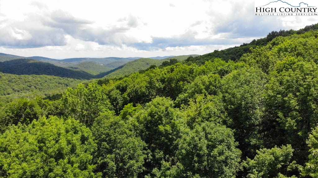 1729 Forest Ridge Drive, Unit 17 Newland, NC 28657 - Photo 5 of 8