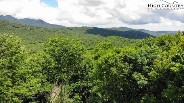 $1,350,000 | 1729 Forest Ridge Drive, Unit 17, Newland, NC 28657