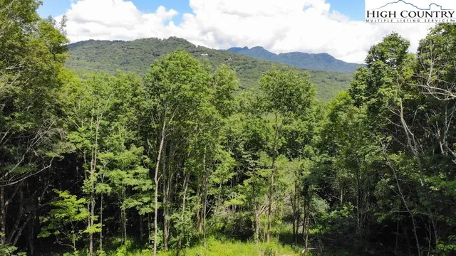 $1,350,000 | 1729 Forest Ridge Drive, Unit 17, Newland, NC 28657