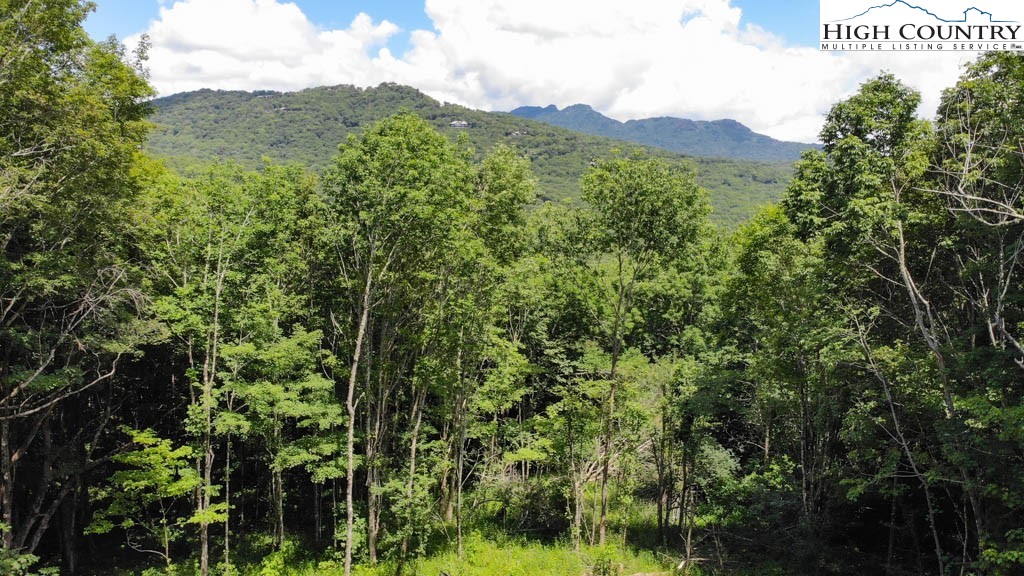 1729 Forest Ridge Drive, Unit 17 Newland, NC 28657 - Photo 8 of 8