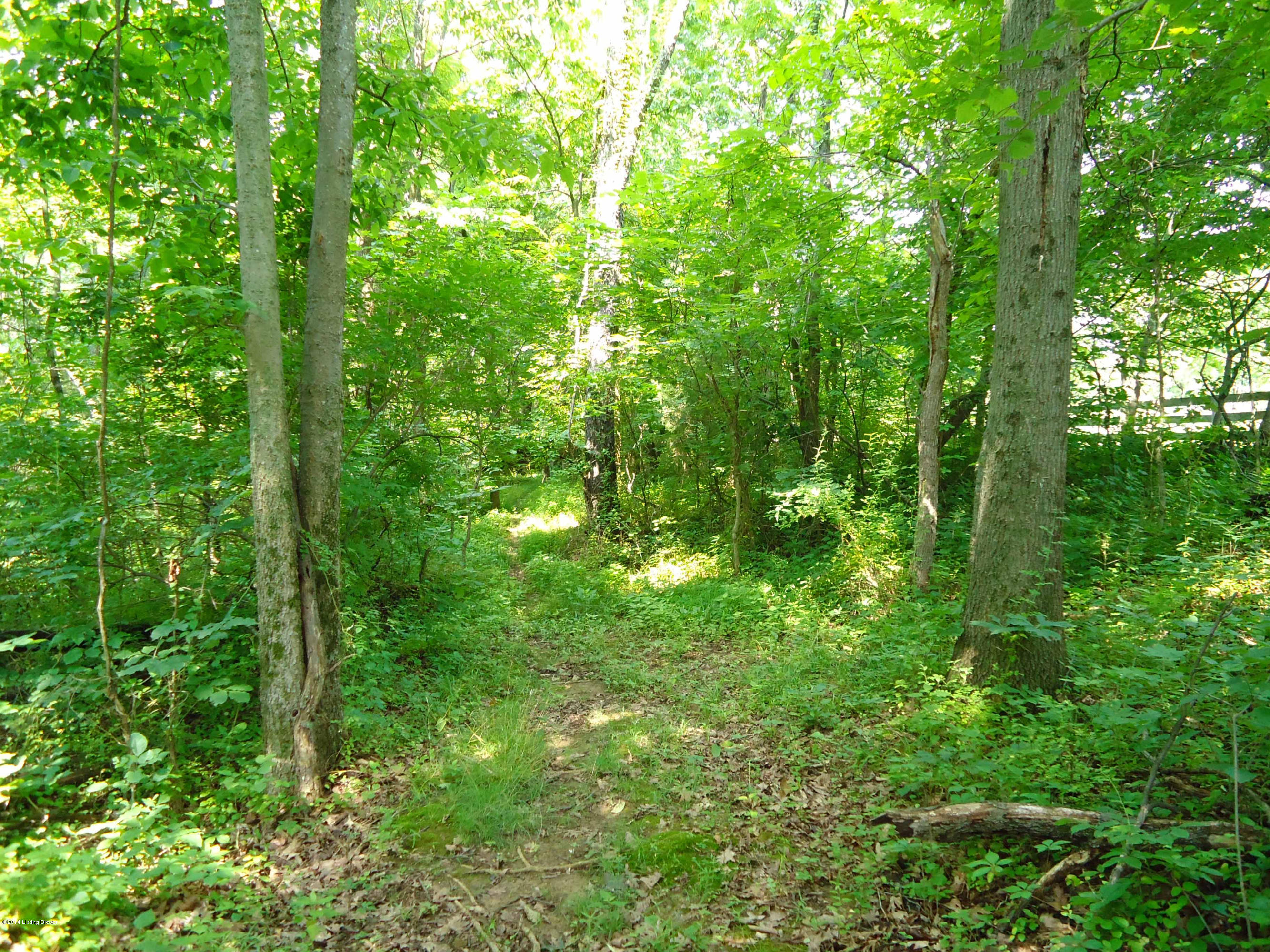 2528 Cedar Point Road La Grange, KY 40031 - Photo 62 of 67 Your own walking trails!!