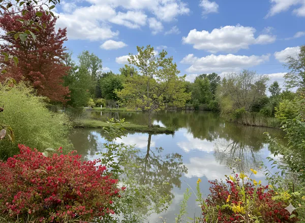 a view of a lake with a garden