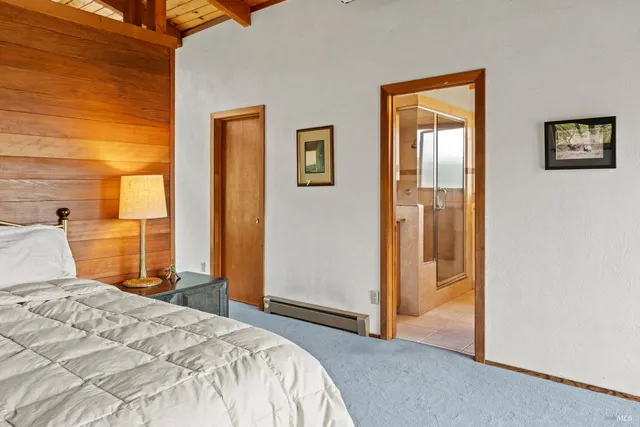 a bedroom with a bed and a cabinets