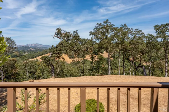 a view of city and trees