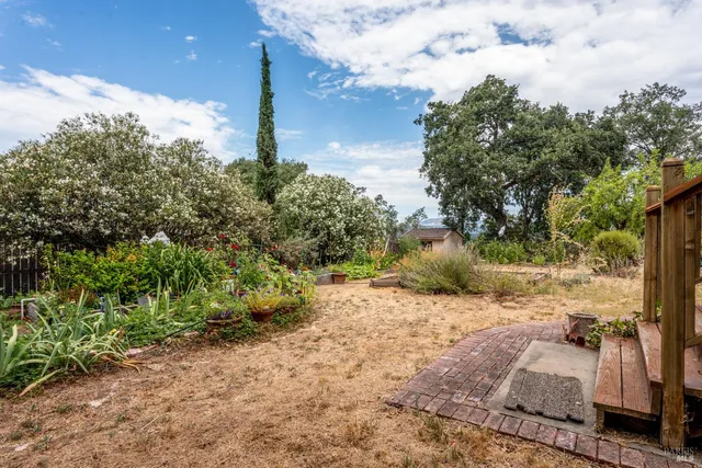 a view of a yard with plants and trees