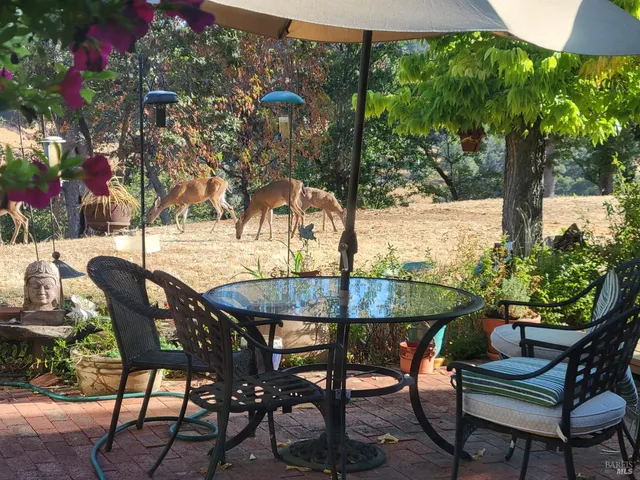 a view of a patio with table and chairs under an umbrella