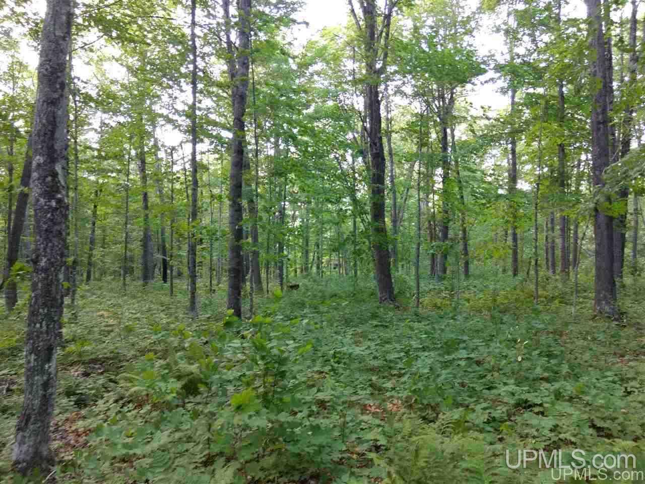Tbd Sandstone B Road Lake Linden, MI 49945 - Photo 50 of 50