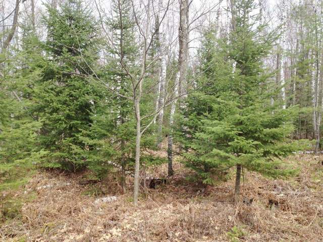 On Flowage Road Rhinelander, WI 54501 - Photo 10 of 13 Gallery Image 10