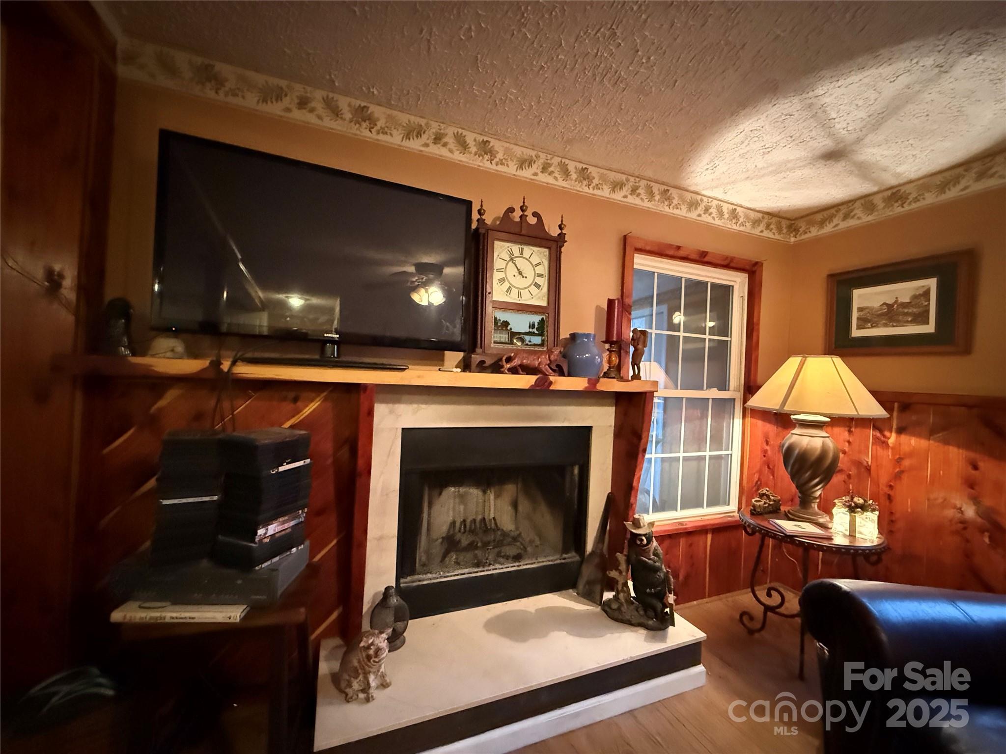 201 Mountain Vista Road Canton, NC 28716 - Photo 12 of 21 a living room with furniture a flat screen tv and a fireplace