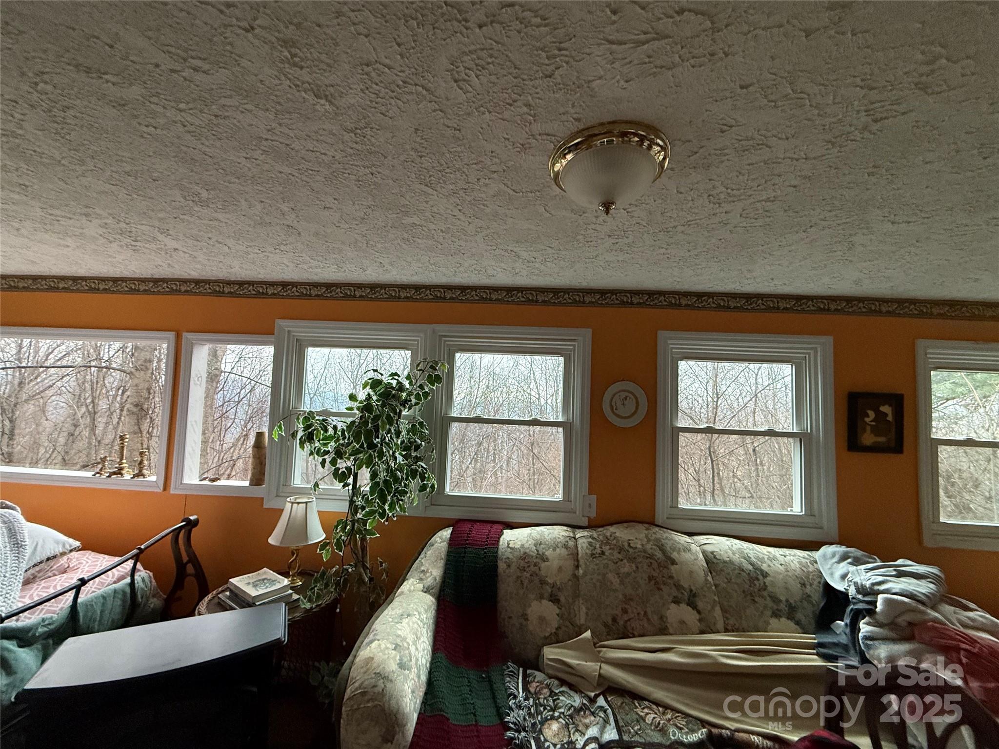201 Mountain Vista Road Canton, NC 28716 - Photo 16 of 21 a living room with furniture and a window
