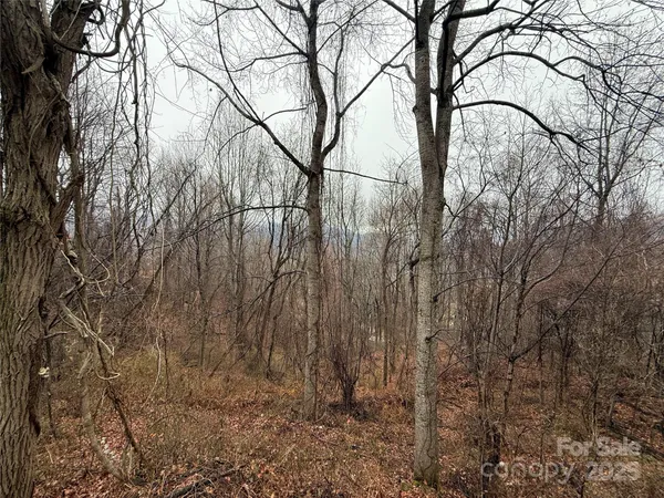 a backyard of a house with lots of trees