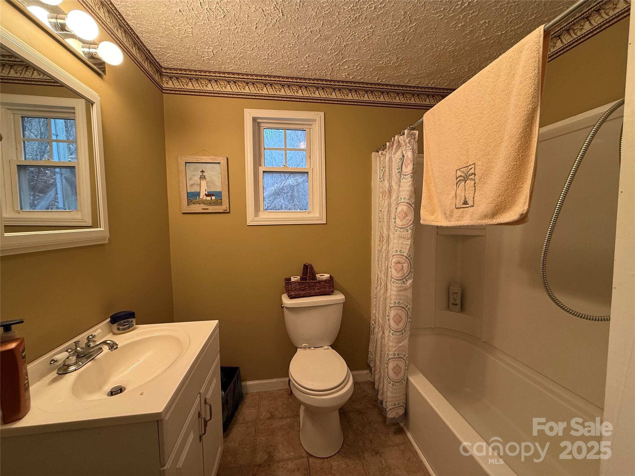 201 Mountain Vista Road Canton, NC 28716 - Photo 7 of 21 a bathroom with a toilet sink and shower