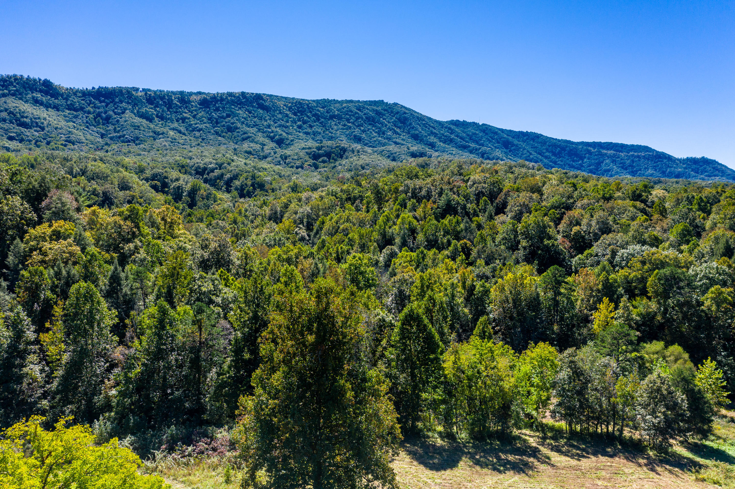 1515 Old Chilhowee Road Seymour, TN 37865 - Photo 15 of 32 DJI_0321