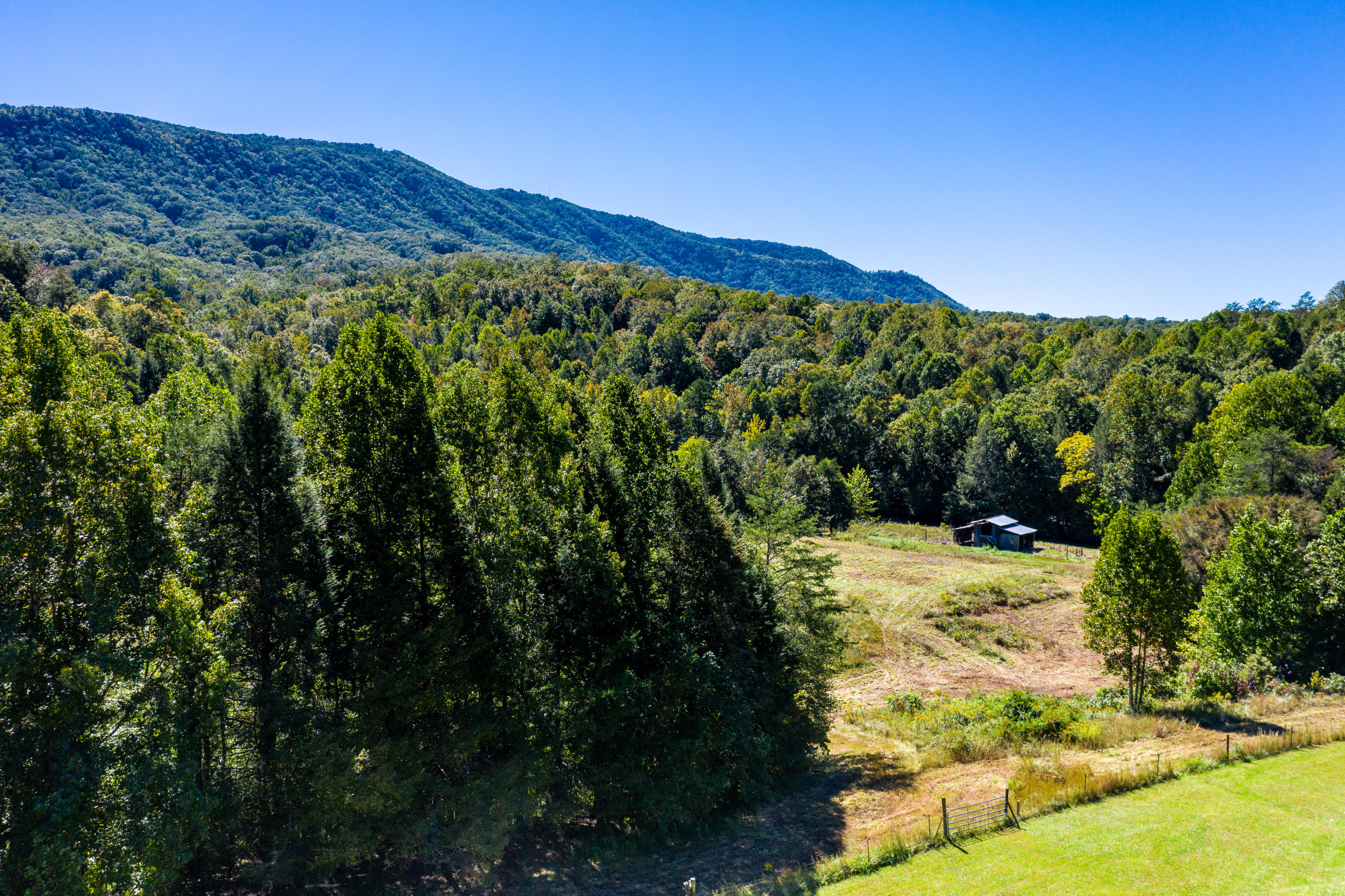 1515 Old Chilhowee Road Seymour, TN 37865 - Photo 22 of 32 DJI_0327