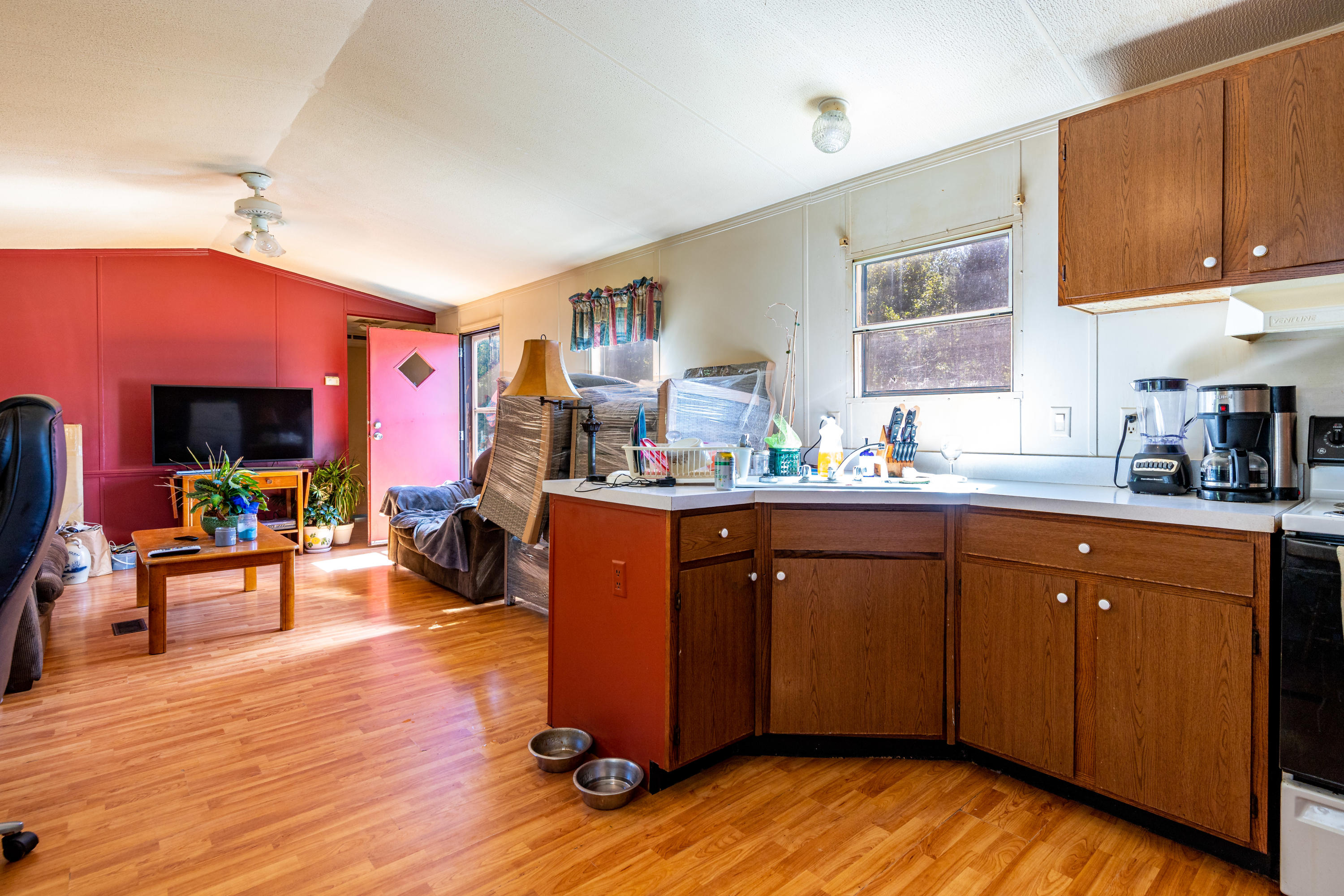 1515 Old Chilhowee Road Seymour, TN 37865 - Photo 24 of 32 IMG_3343-Edit