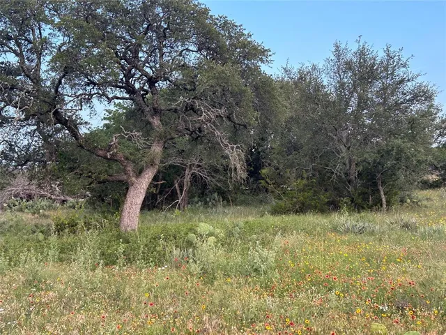 a view of a yard with a tree