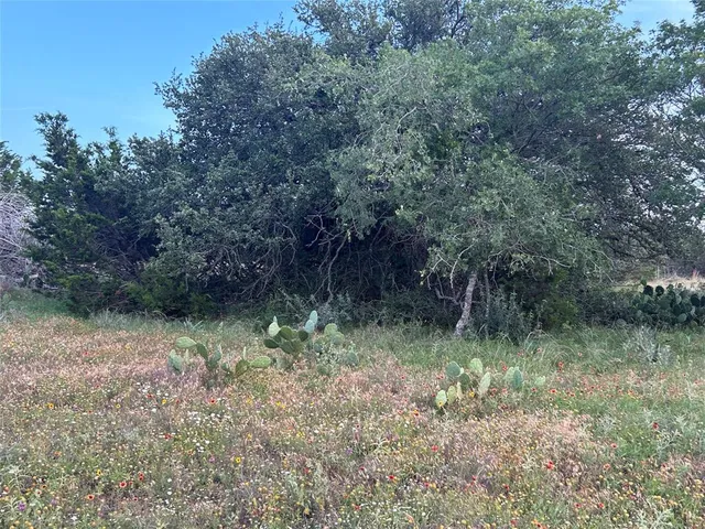 a big yard with lots of green space and plants