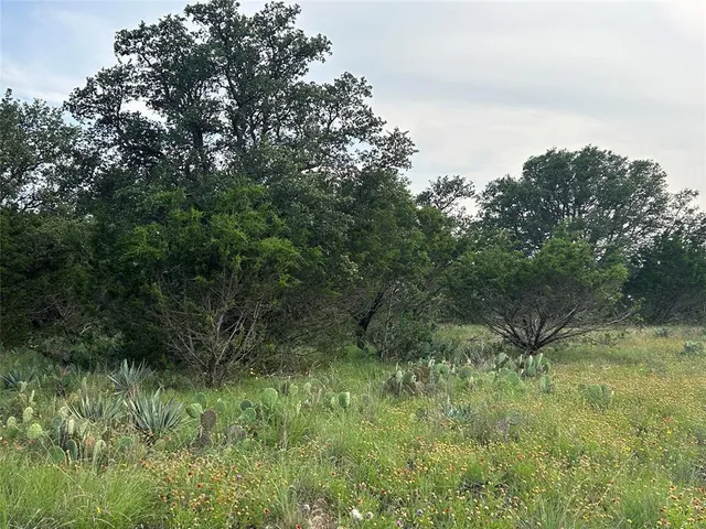 a view of a green field with lots of bushes